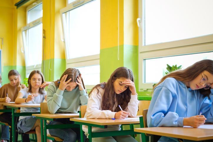 2024 LGS Tercih Süreci ve Kılavuzu