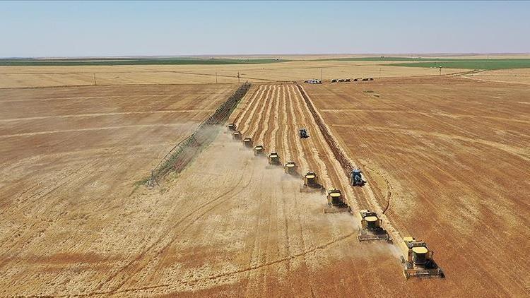 2025 Üretim Yılı Çiftçi Kayıt Sistemi Kayıt Yenileme Başvuruları Başladı