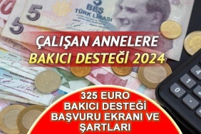 325-euro-bakici-destegi-basvurulari-basladi-3erQtkt4.jpg