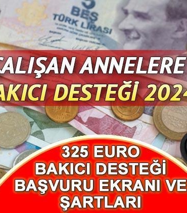 325-euro-bakici-destegi-basvurulari-basladi-3erQtkt4.jpg
