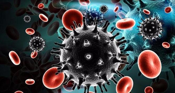 HIV/AIDS Enfeksiyonunun Tanı Yöntemleri Nelerdir?