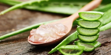 aloe-vera-bitkisi-nasil-yenir-iste-tuketebilmeniz-icin-5-yontem-UawTM3WM.jpg