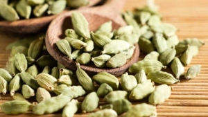 alternatif-tibbin-nefis-aromasi-kakulenin-faydalari-nelerdir-KgdCXSzc.jpg