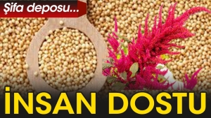 amaranth-nedir-faydalari-nelerdir-sAbf7lnt.jpg