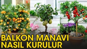 balkon-manavi-nasil-kurulur-MuwNsYBP.jpg