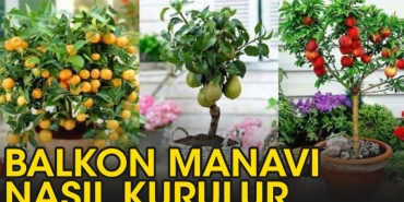 balkon-manavi-nasil-kurulur-MuwNsYBP.jpg