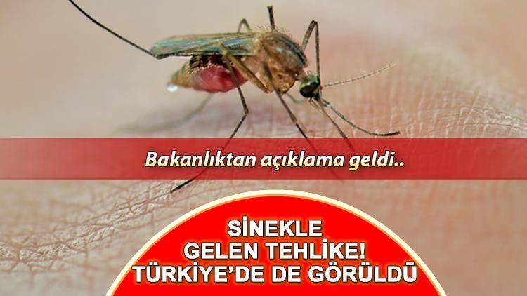 Batı Nil Virüsü Hakkında Bilgilendirme