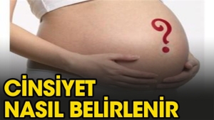 bebegin-cinsiyeti-nasil-belirlenir-InCVHpqq.jpg
