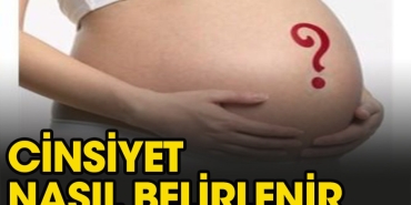 bebegin-cinsiyeti-nasil-belirlenir-InCVHpqq.jpg