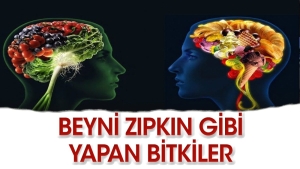 beyin-nasil-guclendirilir-sC1uIJVc.jpg