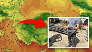 bir-isirigi-olduruyor-o-sehirde-goruldu-kapi-pencere-ne-varsa-kapatin-7vfDka3Q.jpg