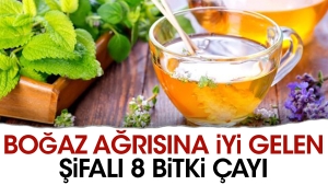 bogaz-agrisina-l-gelen-sifali-8-bitki-cayi-dCMhjep6.jpg