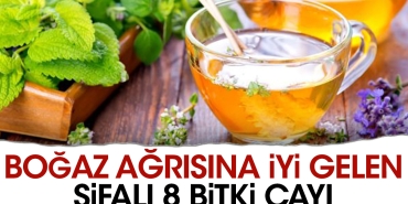 bogaz-agrisina-l-gelen-sifali-8-bitki-cayi-dCMhjep6.jpg