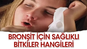 bronsite-uygun-gelen-bitkiler-hangileri-hxUGDUiP.jpg