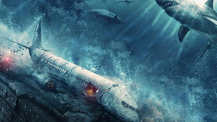 Çıkış Yok (No Way Up) Filmi Hakkında
