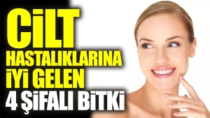 cilt-hastaliklarina-l-gelen-4-sifali-bitki-v4xq178V.jpg