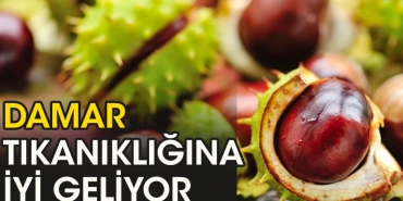 damar-tikanikligina-uygun-gelen-bir-besin-irBGfrxQ.jpg