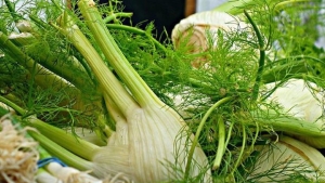 dogal-agri-kesici-arapsaci-otunun-faydalari-nelerdir-zqCZtae9.jpg