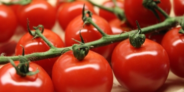 domatesin-sagliga-8-guclu-faydasi-A6fauWvL.jpg