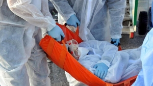 ebola-nedir-belirtileri-nelerdir-ebola-virusu-tedavisi-var-mi-bwRACLXS.jpg