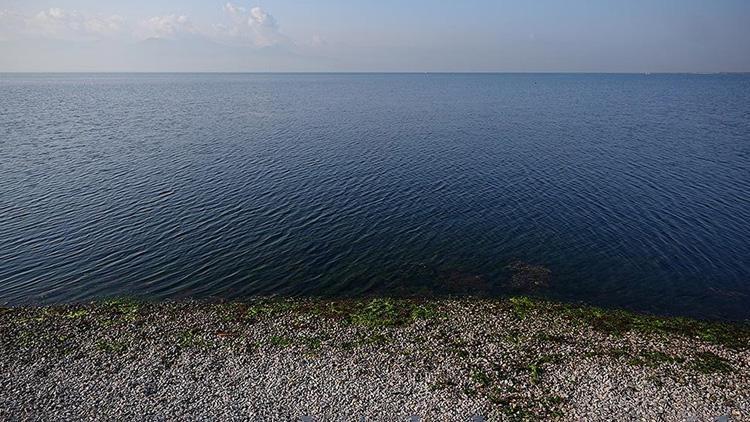 Ege Denizi'nde Depremler ve Fay Hattı Haritası: Riskli Bölgeler ve Tsunami Olasılığı