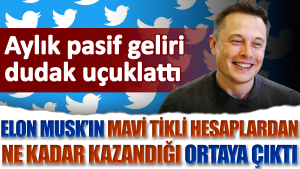 elon-muskin-mavi-tikli-hesaplardan-ne-kadar-kazandigi-ortaya-cikti-aylik-pasif-geliri-dudak-JrlDMaZi.jpg