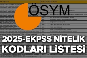 engelli-memur-alimi-ekpss-2025-nitelik-kodlari-ObBxgsje.jpg