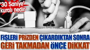 fisleri-prizden-cikardiktan-sonra-geri-takmadan-evvel-dikkat-30-saniye-kurali-nedir-fHCAHkmw.jpg