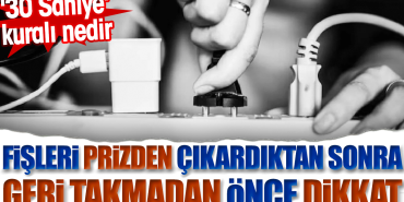fisleri-prizden-cikardiktan-sonra-geri-takmadan-evvel-dikkat-30-saniye-kurali-nedir-fHCAHkmw.jpg