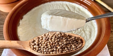 geceleri-1-kase-kisnis-tohumlu-yogurt-yemenin-faydalari-OniDvEIX.jpg