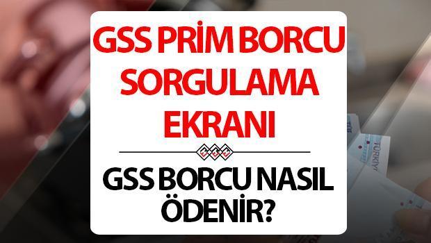 GSS Borcu Sorgulama ve Sağlık Hizmetleri