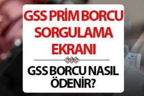 gss-borcu-sorgulama-ve-saglik-hizmetleri-hakkinda-bilgiler-Ang6bZbi.jpg