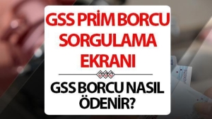gss-borcu-sorgulama-ve-saglik-hizmetleri-hakkinda-bilgiler-Ang6bZbi.jpg