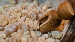 gunluk-sakizi-nedir-faydalari-nelerdir-cignedikce-iyilestiren-gunluk-sakizi-neye-iyi-gelir-LWVT6zGI.jpg