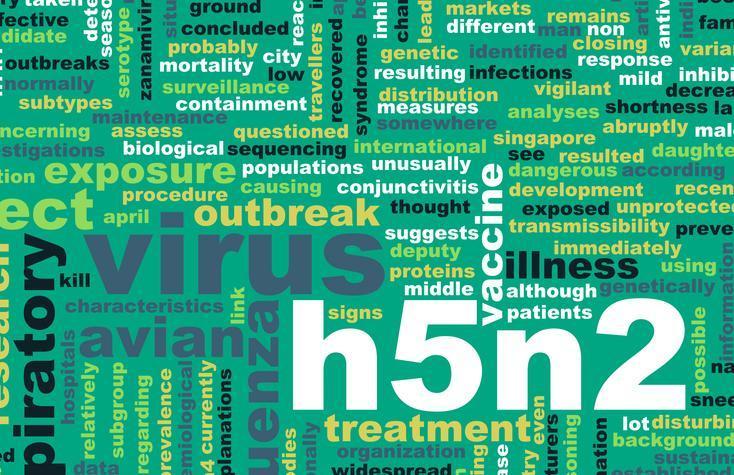 H5N2 Kuş Gribi: Tehlikeli Bir Virüs ve İlk İnsan Ölümü