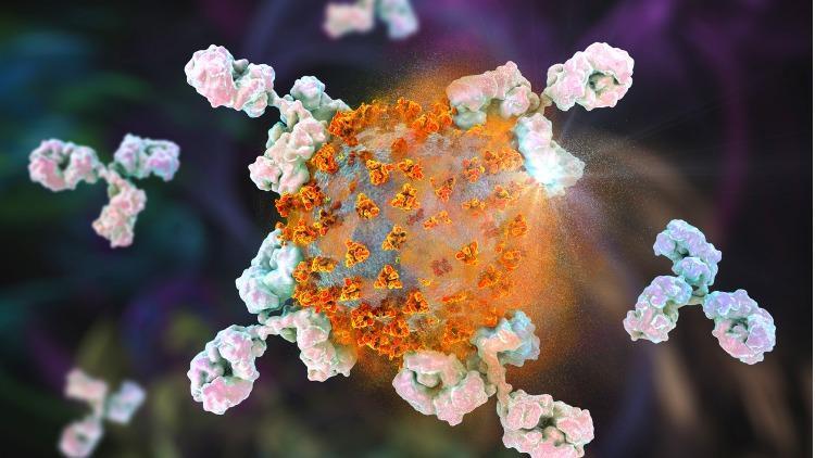 H5N2 Kuş Gribi: İlk İnsan Ölümü ve Belirtileri