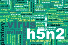 h5n2-kus-gribi-ilk-insan-olumu-ve-belirtileri-7fhxgZ8S.jpg