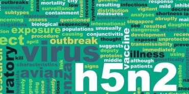 h5n2-kus-gribi-ilk-insan-olumu-ve-belirtileri-7fhxgZ8S.jpg