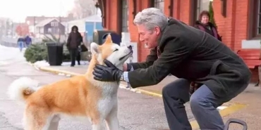 hachiko-bir-kopegin-hikayesi-filmi-trt-1de-HaEy2FLm.jpg