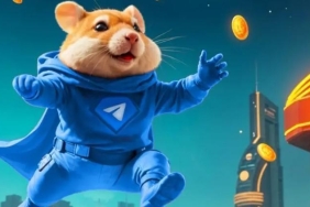 hamster-kombat-gunluk-sifreleri-ve-kombolari-eylul-2024-7z7kblJM.jpg