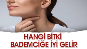 hangi-bitki-bademcik-agrisina-uygun-gelir-fZiuIiqG.jpg