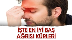 iste-bas-agrilarina-duzgun-gelen-kurler-AJUy3zQN.jpg