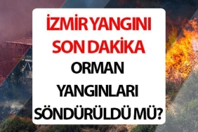 izmir-orman-yanginlari-son-durum-ve-gelismeler-zbBTyzBs.jpg