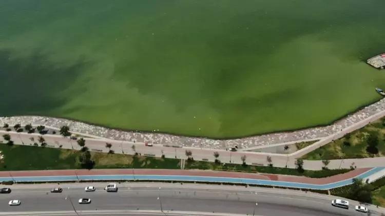 İzmir'de Plankton Patlaması ve Deniz Renk Değişimi
