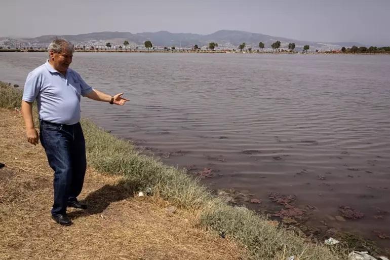 İzmir'de Plankton Patlaması ve Deniz Renk Değişimi