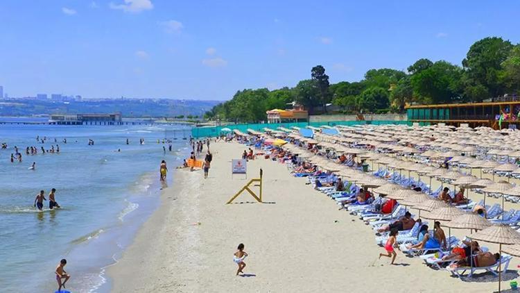 İzmir'de Plankton Patlaması ve Deniz Renk Değişimi