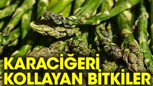 karaciger-hastaliklarina-duzgun-gelen-bitki-ve-besinler-DKbamgGs.jpg