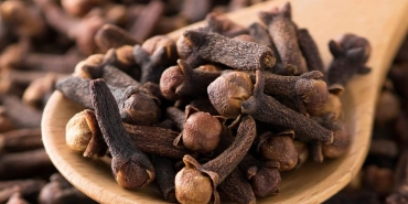 karanfilin-saca-faydalari-nelerdir-karanfil-kuru-nasil-hazirlanir-4OVcCtc5.jpg