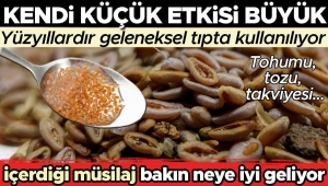 karniyarik-otu-faydalari-kullanimi-ve-ekmek-tarifi-9uat3d1O.jpg