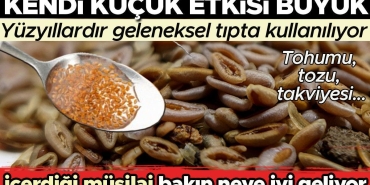 karniyarik-otu-faydalari-kullanimi-ve-ekmek-tarifi-9uat3d1O.jpg